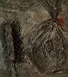 Atelierbild XXVII, 1986, Öl auf Hartf. 34 x 30 cm