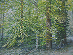 Sternwald 11, 2018, Öl auf Leinwand, 30 x 40 cm