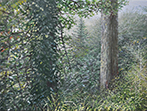 Sternwald 1, 2018, Öl auf Lw. 30 x 40 cm