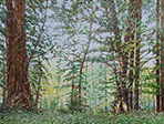 Sternwald 12, 2020, Öl auf Leinwand, 30 x 40 cm
