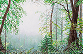 Sternwald 4, 2020, Öl auf Leinwand, 40 x 60 cm