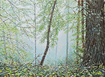 Sternwald 2, 2021, Öl auf Leinwand, 30 x 40 cm