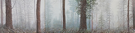 Sternwald 3,4,5, 2021, Öl auf Leinwand, 30 x 120 cm