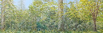 Sternwald 7, 2021, Öl auf Lw., 40 x 60 cm