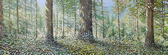 Sternwald 8, 2021, Öl auf Leinwand, 40 x 120 cm