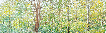 Sternwald 1, 2022, Öl auf Leinwand 40 x 120 cm