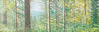 Sternwald 2, 2022, Öl auf Leinwand 40 x 120 cm