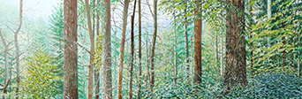 Sternwald 3, 2022, Öl auf Leinwand 40 x 120 cm