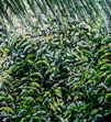 Koh Gnai (เกาะไหง), 1997, Öl auf Lw. 100 x 90 cm
